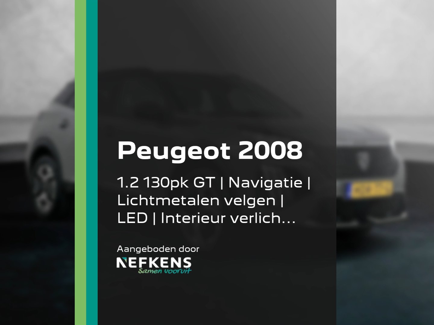 Thema Nefkens